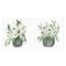 Stupell Industries White Anemone Vases 2pc Canvas Set, design by Lucille Price